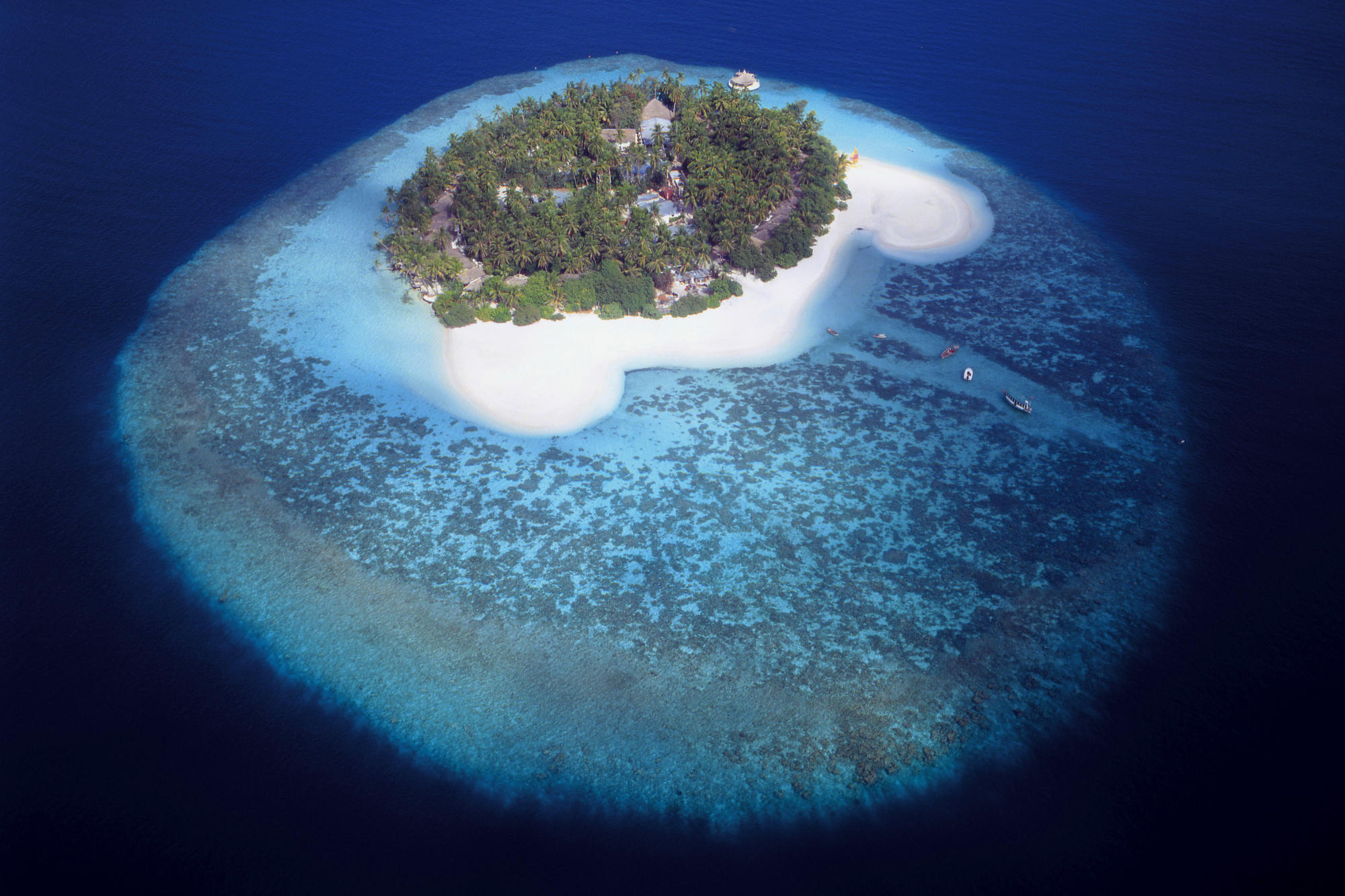 The island was beautiful. Атолл коралловый остров. Остров риф (Reef Island). Лагуна Атолл риф. Мальдивы коралловые острова.