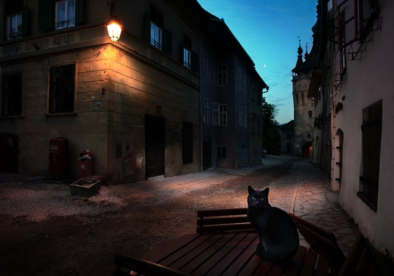superufo y superluna Black-cat-under-a-setting-moon-at-sighisoara-transylvania-romania-photo-by-stanislaw-jawor