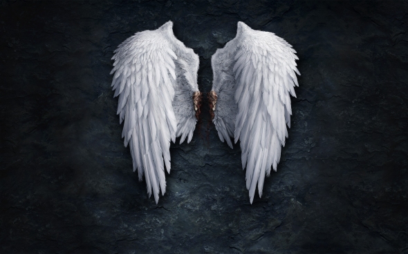 Constance Vale Elyos-asmodian-wings