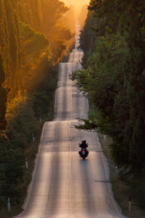The boulevard with its ups and downs at sunset along the tall cypress trees in Bolgheri, Tuscany, Italy. Photo by Roberto Nencini