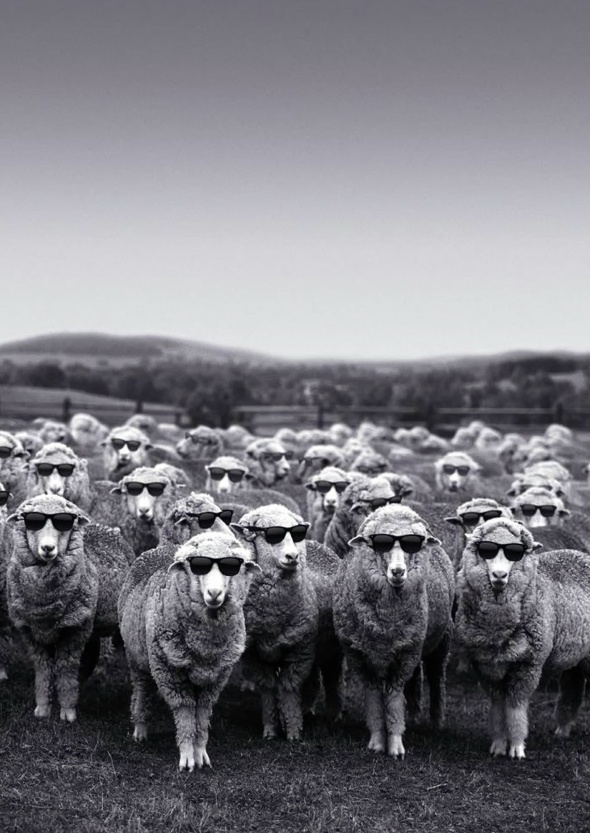 Woolmark's Cool Wool Campaign for Summer 2012