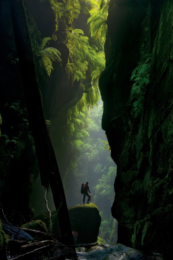Between the narrow walls of Claustral Canyon, Australia by Carsten Peter