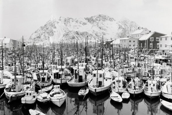 Lured to Lofoten by the lucrative winter cod run, hundreds of fishing vessels clog Henningsvaer Harbor in 1951. Photo by Sverre A. Børretzen