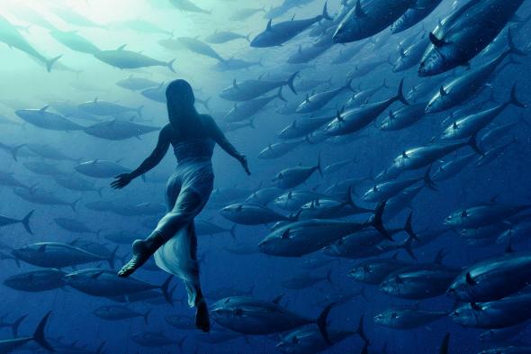Retired Japanese Olympic synchronized swimmer Saho Harada poses balletically inside a shoal of tuna in Malta by Kurt Arrigo